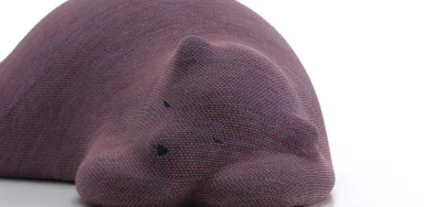 Resting Animals connection - Design Inspo.