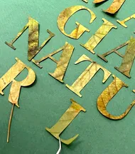 11 Mucho Alianza Branding Lo Siento Magia Natural 2