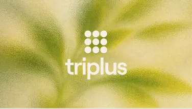 12 triplus cierre