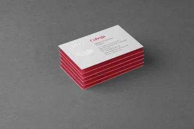 02 Cobega Business Cards by Mucho scaled