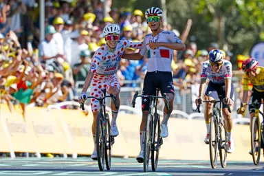 Colnago Mucho News