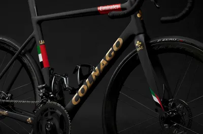12 Mucho Colnago 11 Logo Gold Bike scaled