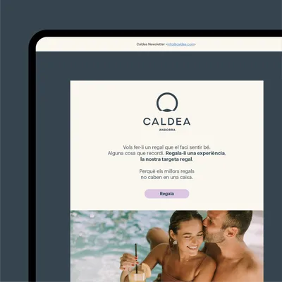 Caldea Newsletter CAT2