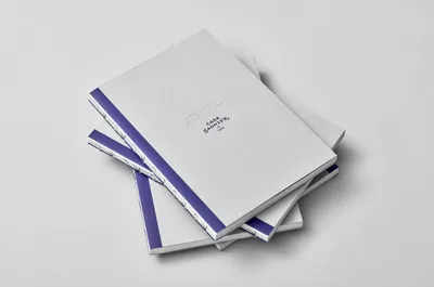 Casa Sagnier Book Cover