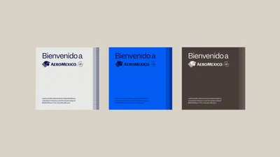 47 Visual Language color combination