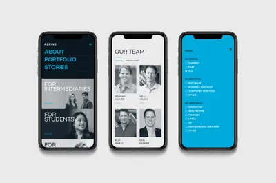 Alpine Mobile Website 01