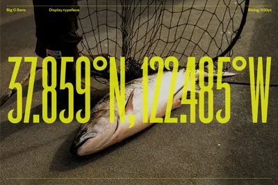 04 Mucho Big C Charters Brand Typography 05