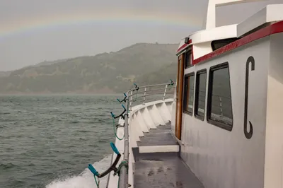 03 Mucho Big C Charters Brand Symbol Boat