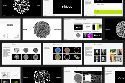 17 Biotic Guidelines