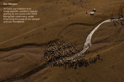 Mucho Gobi Mission Statements