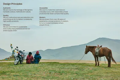 Mucho Gobi Design Principles 3