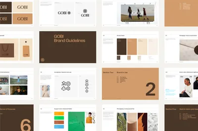 Mucho Gobi Guideline Overview