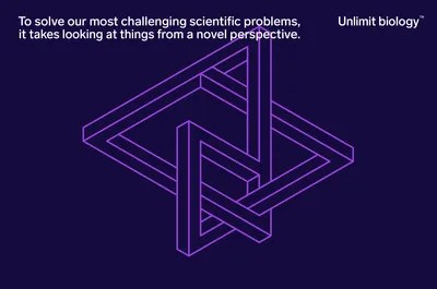 05 Mucho Encodia Perspectives