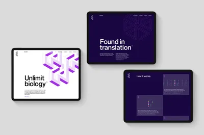 10 Mucho Encodia Website
