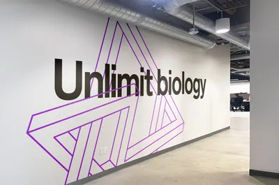 11 Mucho Encodia Office Reception Corridor