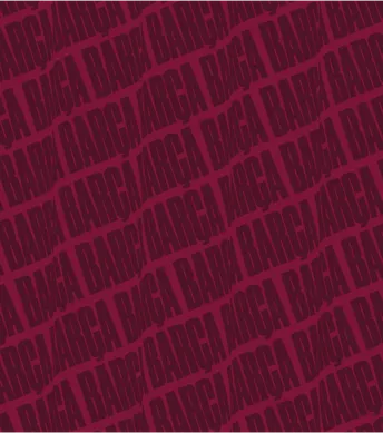 06a Artboard 1 copy 2x