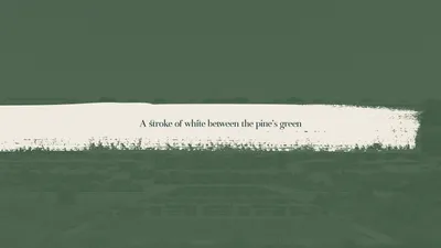 3 4 S Stroke between the pine green