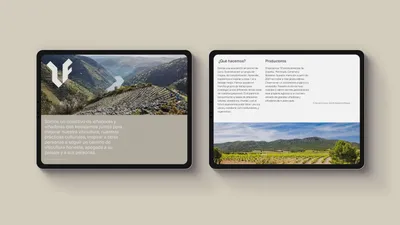 06 futuro vinador web mucho9