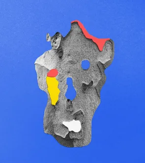 23b wearemucho fauna desserts