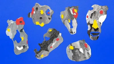 22 wearemucho fauna mascaras 002