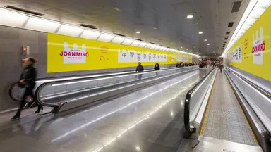 06 Joan Miro Collection