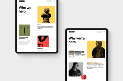 Mucho Ostro Website Overview2