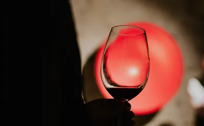 Otazu Case 01 Mucho Cover B