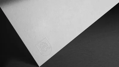 Otazu Case 20 Shield