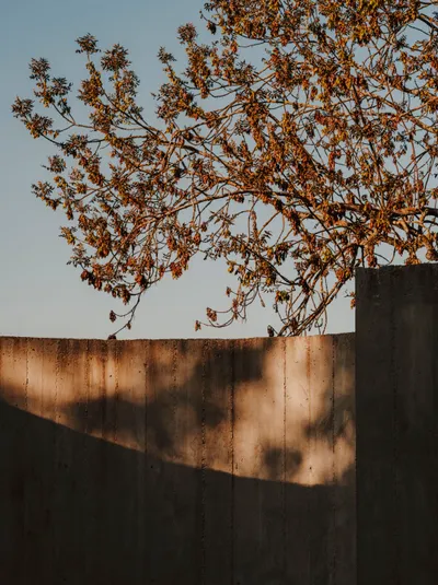 Otazu Case 30 fundacion Otazu