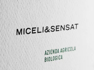 Miceli Sensat Detail Box 3
