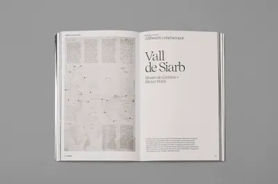 Vidal Orga Mucho R5 A8068