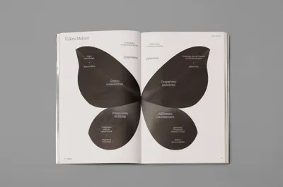 Vidal Orga Mucho R5 A8080