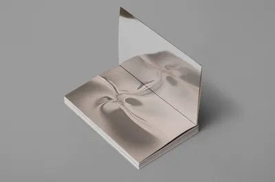 Vidal Orga Mucho R5 A8090