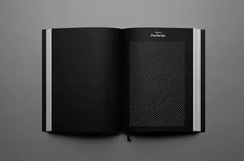 11 camaleones periferias