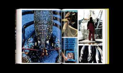 Spain My Way Cookbook Design Mucho4