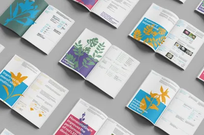 11 Provital Brochures Mockup scaled