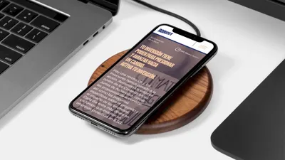 09 robust web mucho8 scaled