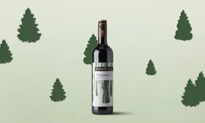 31c Background Pirinenca