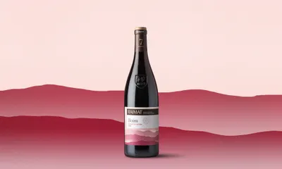 31b Background Boira