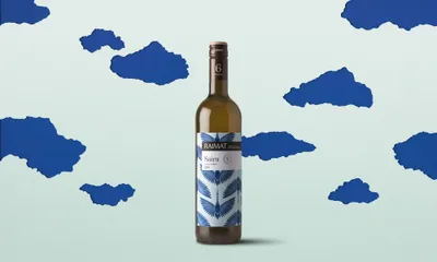 32c Background Saira