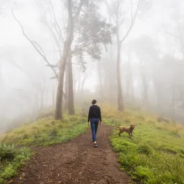 Mucho Tina Frey Art Direction 04