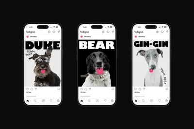 Mucho UD Social Media