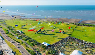 Kite Festival Design Inspo.